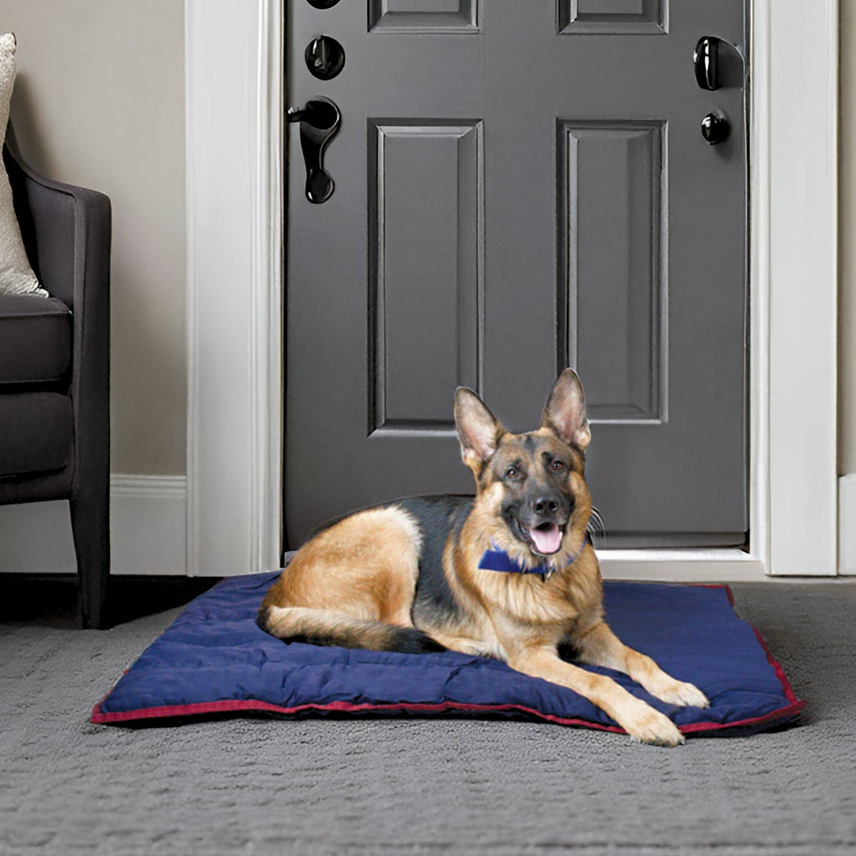 Jeffers Pet Washable Comfy Dog Pillow for Crates, Carriers, or Loungin ...
